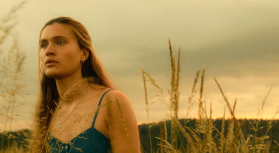 Exploring Historical Novels Based on True Stories: A Journey into the World of Roman Emperors