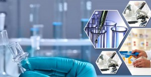 KareBay Biochem: Leading the Way in Peptide Contract Manufacturing