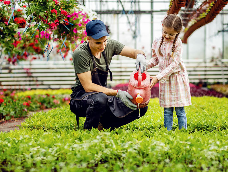 Transform Your Outdoors with Inspiring Lawn Care, Yard Cleaning & Landscaping Services in San Antonio