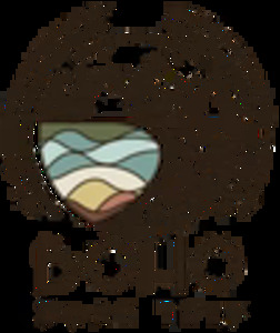 The Versatility and Eco-Friendliness of Kapok-Filled Products