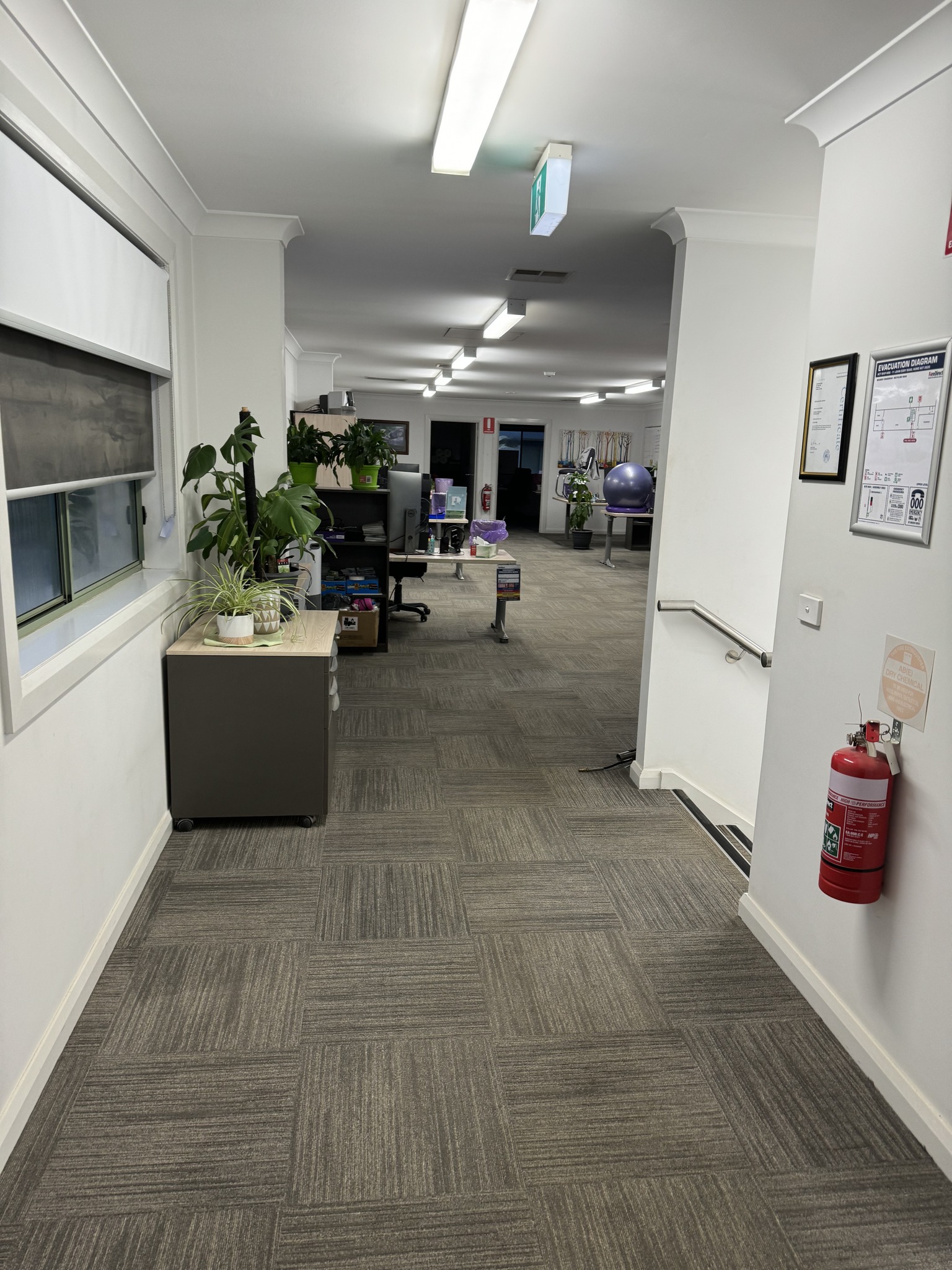 Steam Carpet Cleaning: Why It’s the Most Eco-Friendly Choice