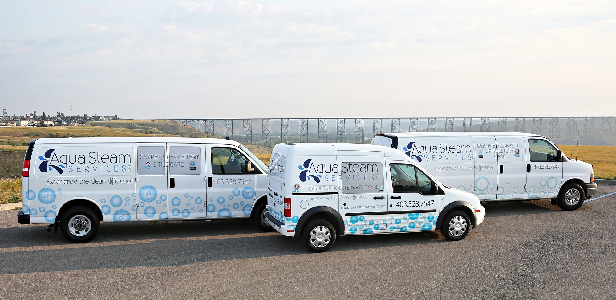 Revitalize Your Home: Expert Area Rug Cleaning and Pet Stain Removal